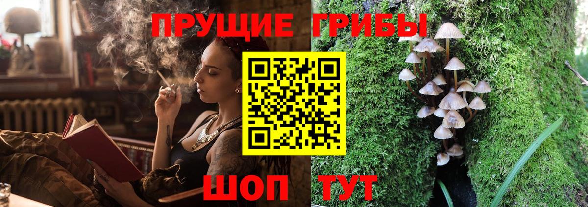 Псилоцибиновые грибы мухоморы Новодвинск
